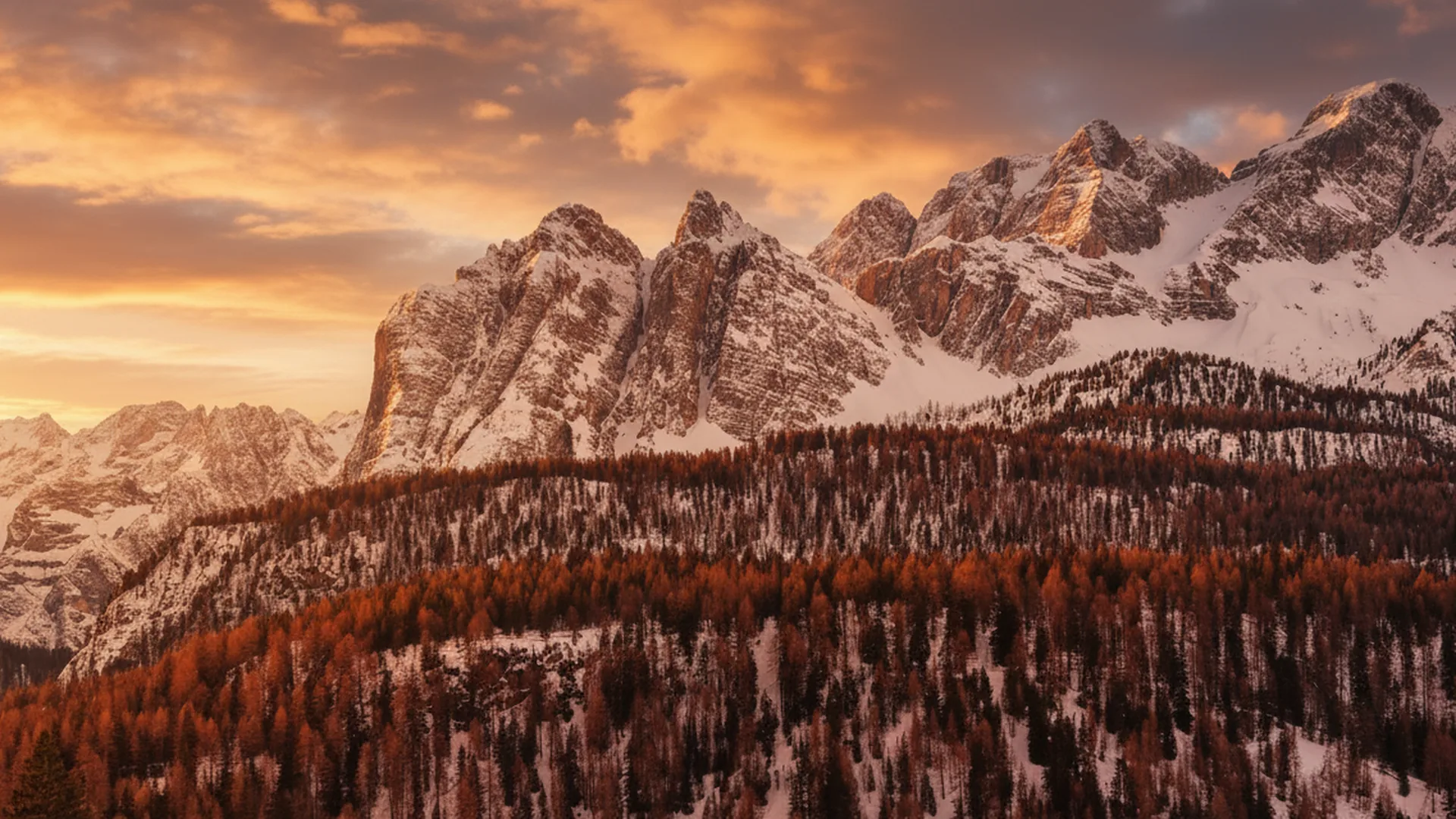 cortina beautiful apartment, Cortina d'Ampezzo (Veneto)