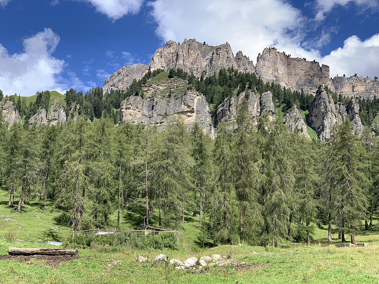 Un prato verde con larici e pareti di roccia chiara sopra il bosco, a Lariéto sopra Cortina d'Ampezzo, in una giornata di sole