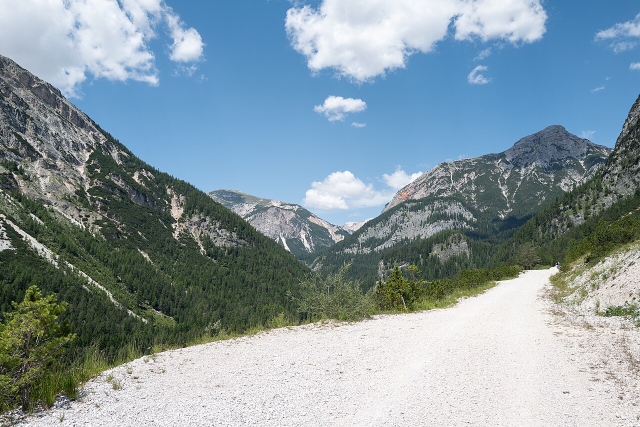 Il percorso sterrato chiaro della Lunga Via delle Dolomiti tra boschi e montagne a nord di Cortina d'Ampezzo